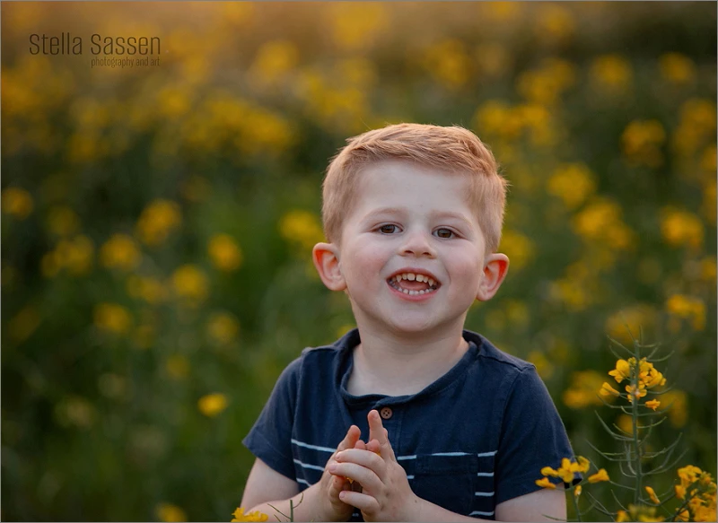 20240902 canola fields cape town 10 copy